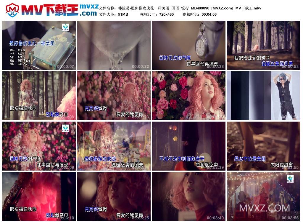 韩浚易-愿你像玫瑰花一样美丽_国语_流行_MB409090